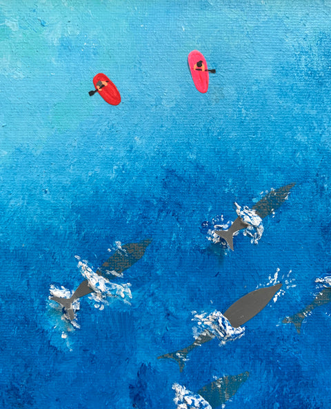 Entre delfines