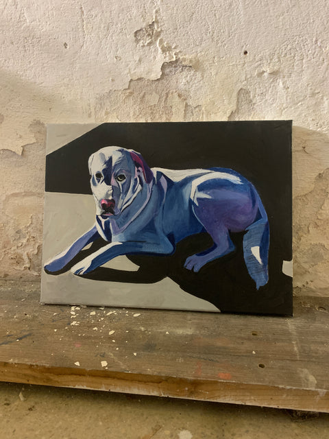 Octubre 5 - Taller Pinta a tu perro